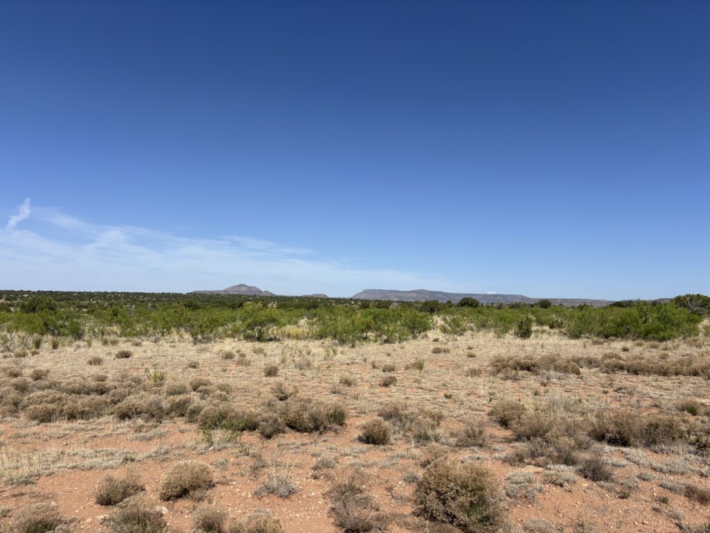 leaf color check on mesquite trees to know how to kill mesquite permanently