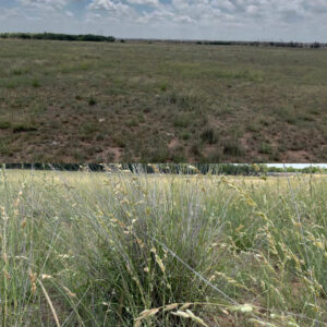NDVI pasture map used to plan drone fertilizer application zones